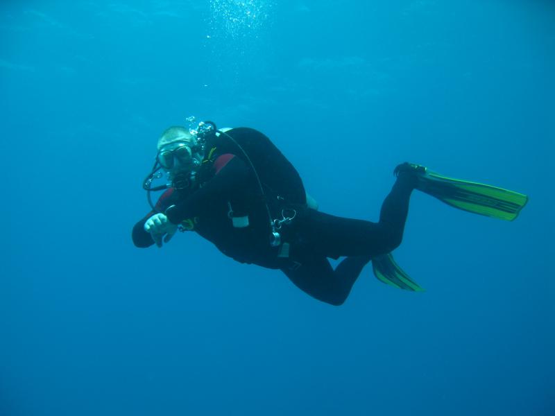 Moby Dick w Marsa Alam