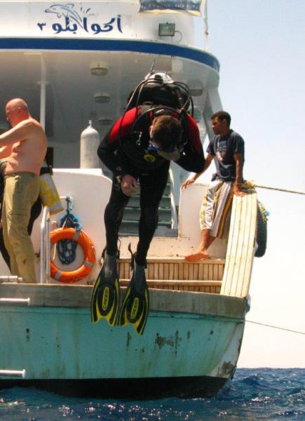 Moby Dick w Marsa Alam