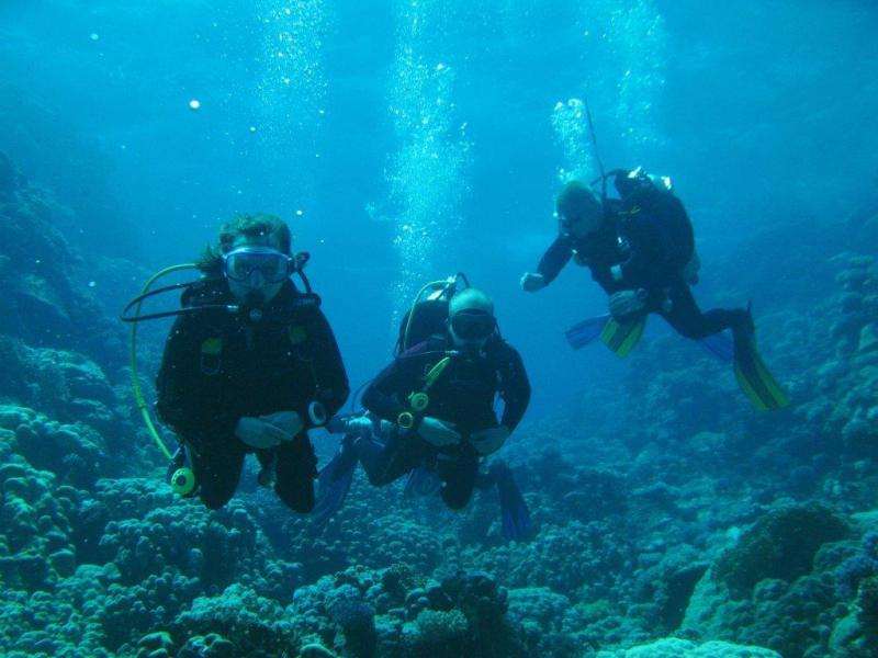 Moby Dick w Marsa Alam