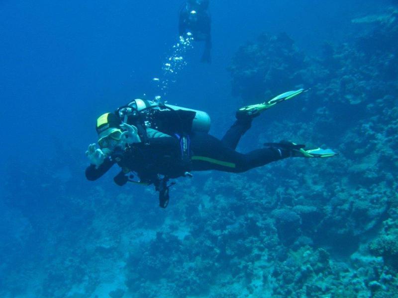 Moby Dick w Marsa Alam