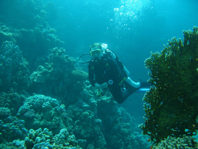 Moby Dick w Marsa Alam