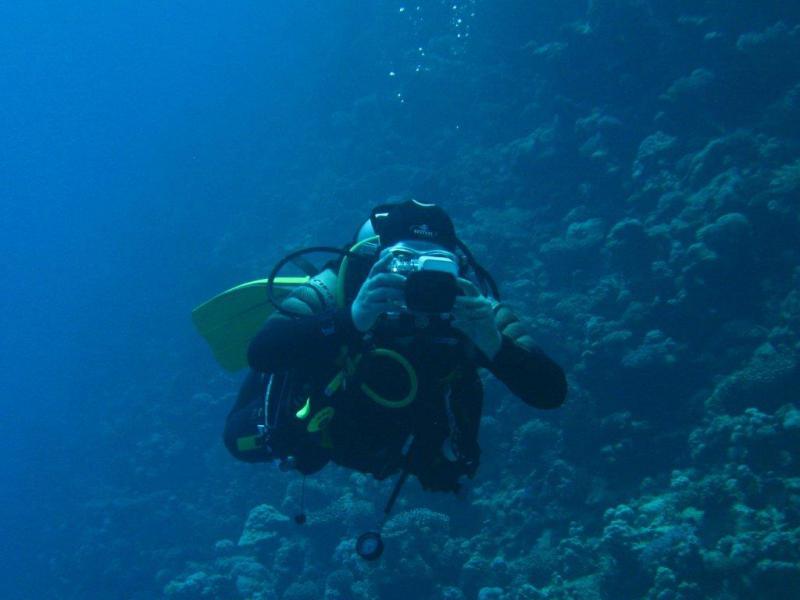 Moby Dick w Marsa Alam