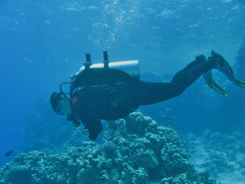 Moby Dick w Marsa Alam