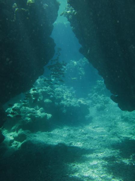 Moby Dick w Marsa Alam