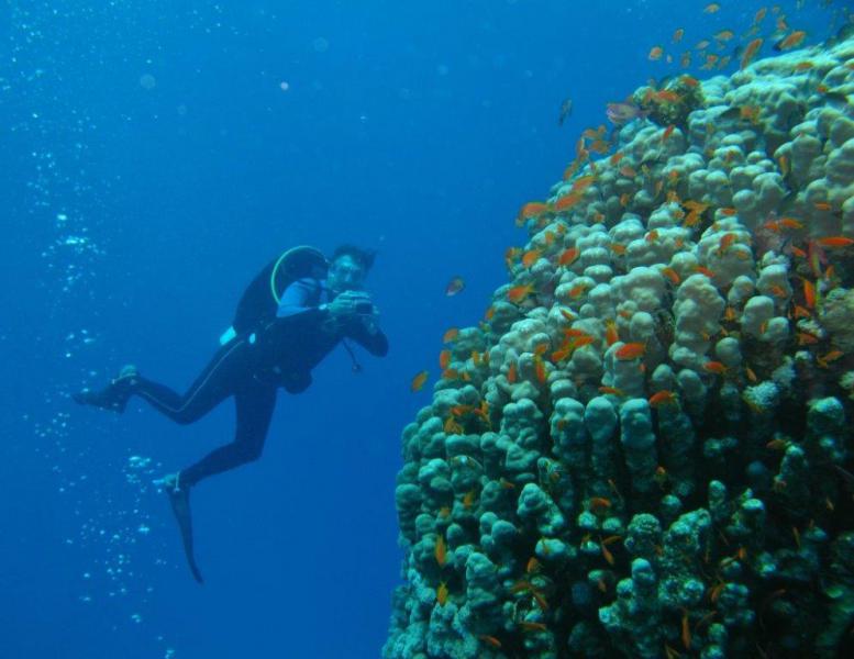 Moby Dick w Marsa Alam