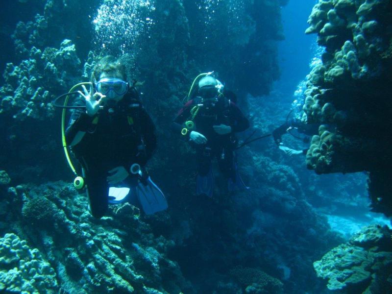 Moby Dick w Marsa Alam