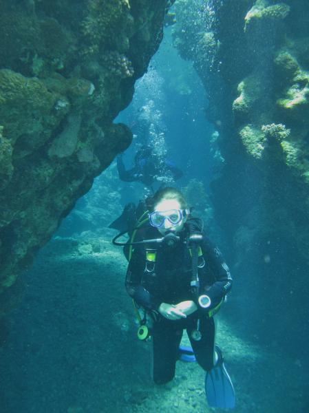 Moby Dick w Marsa Alam