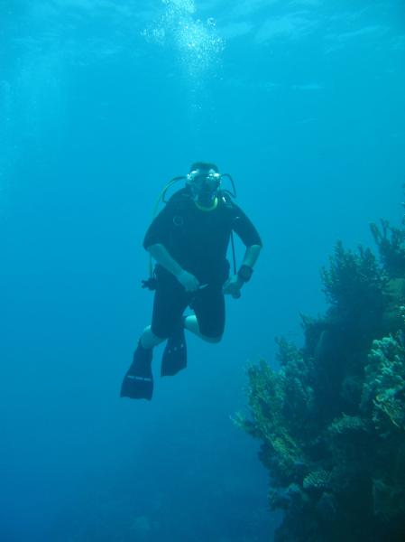 Moby Dick w Marsa Alam