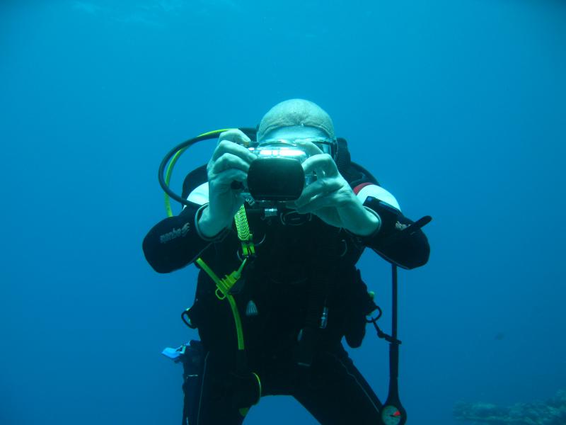 Moby Dick w Marsa Alam