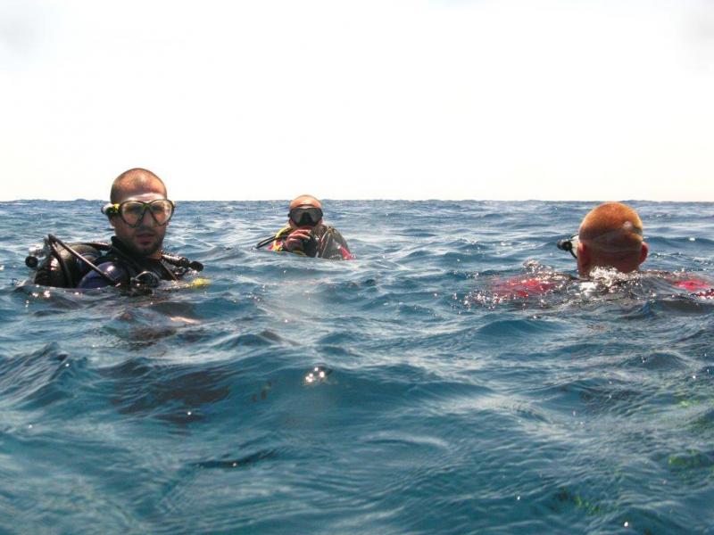 Moby Dick w Marsa Alam