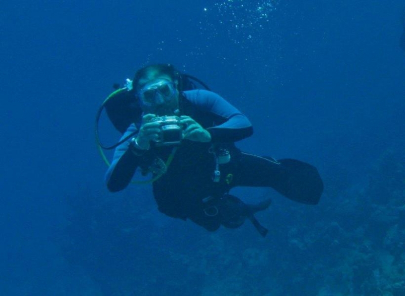 Moby Dick w Marsa Alam