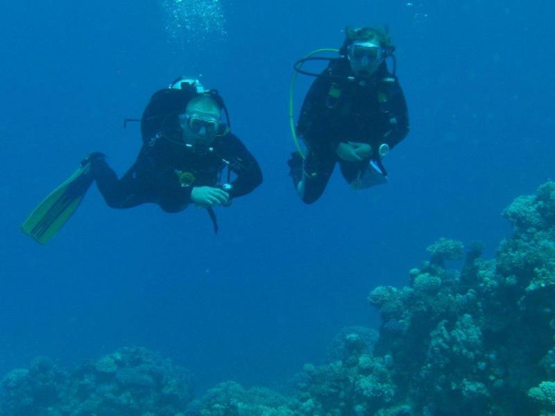 Moby Dick w Marsa Alam