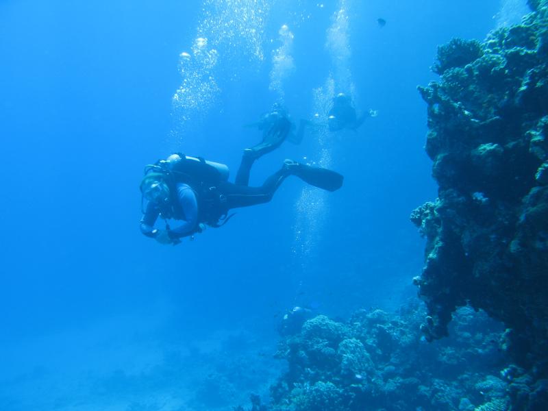 Moby Dick w Marsa Alam