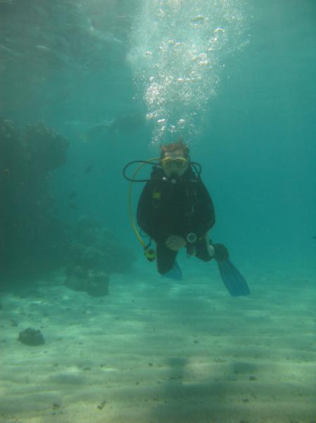 Moby Dick w Marsa Alam