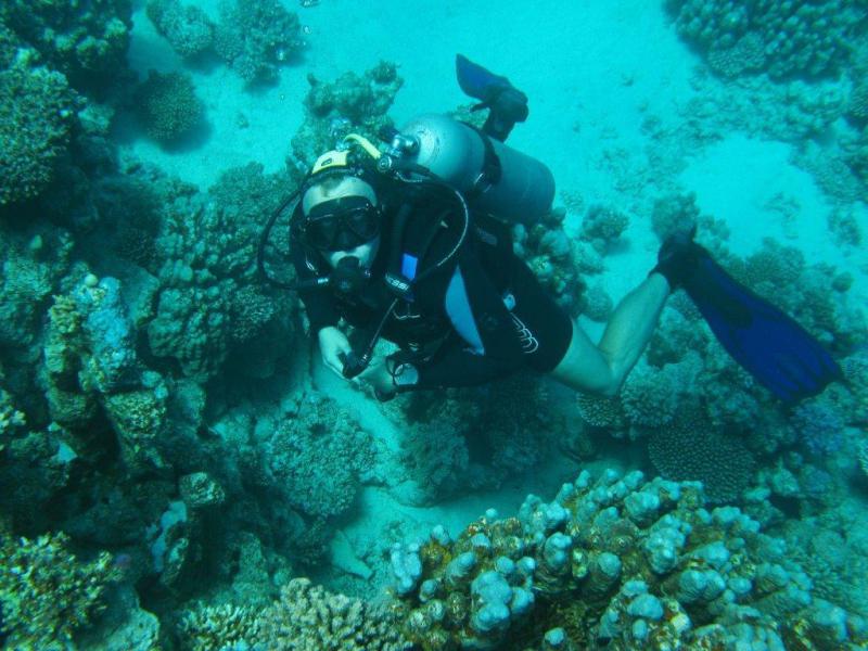 Moby Dick w Marsa Alam