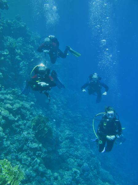 Moby Dick w Marsa Alam