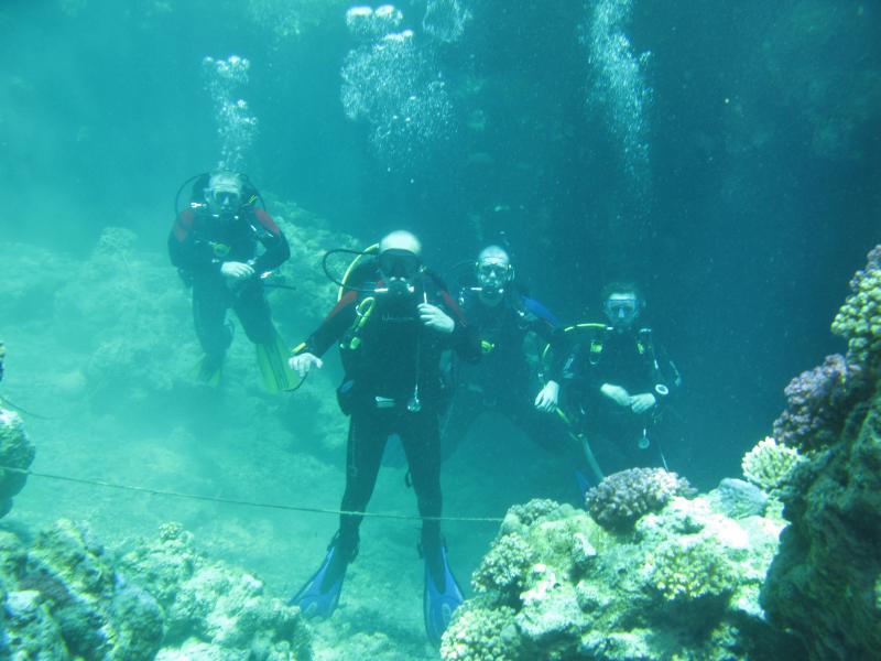 Moby Dick w Marsa Alam