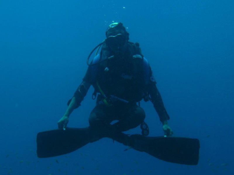 Moby Dick w Marsa Alam