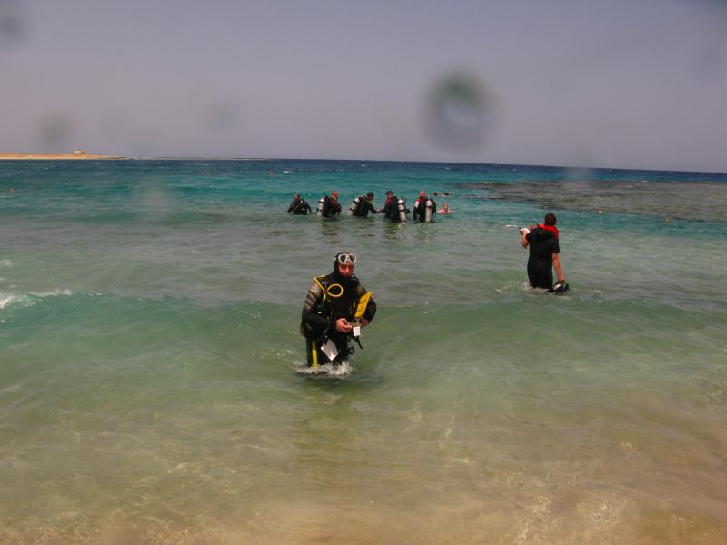 Moby Dick w Marsa Alam