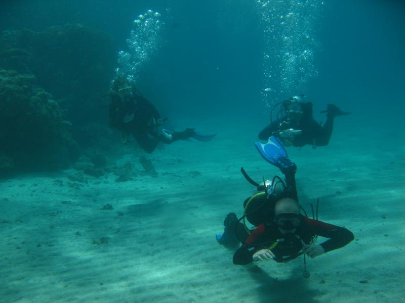 Moby Dick w Marsa Alam