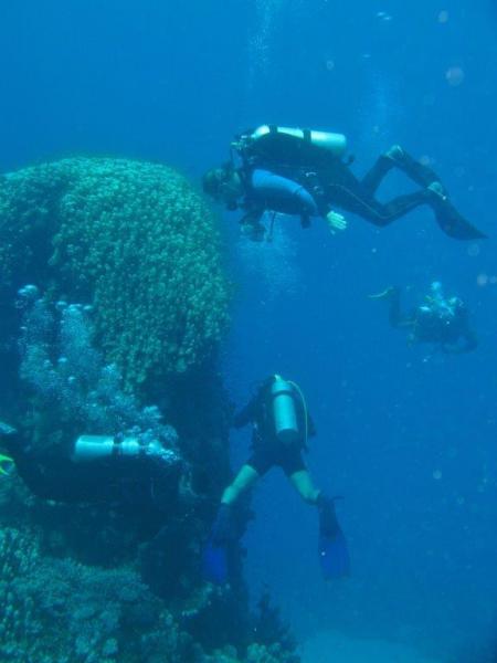 Moby Dick w Marsa Alam