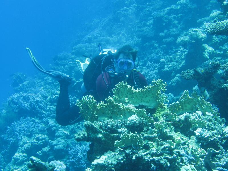 Moby Dick w Marsa Alam