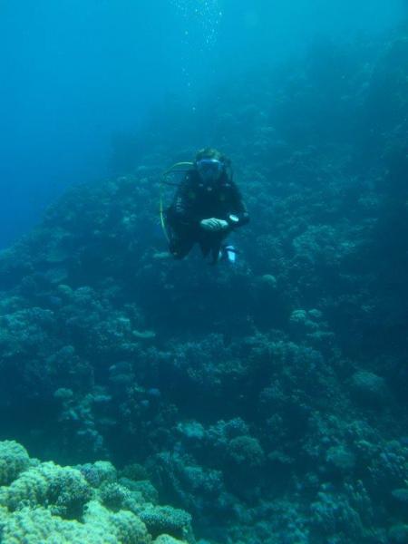 Moby Dick w Marsa Alam