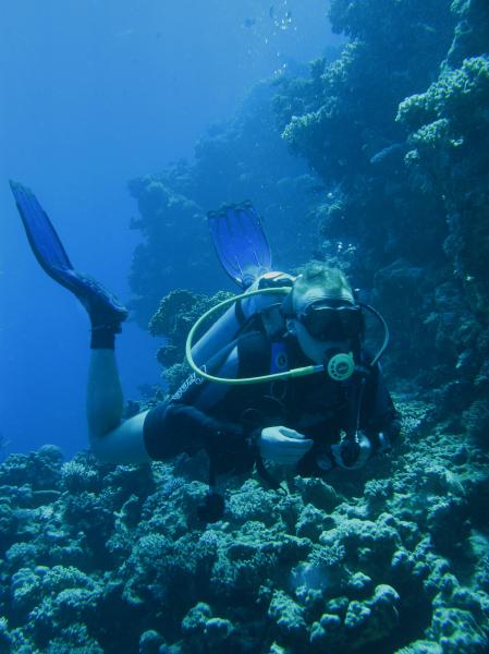 Moby Dick w Marsa Alam