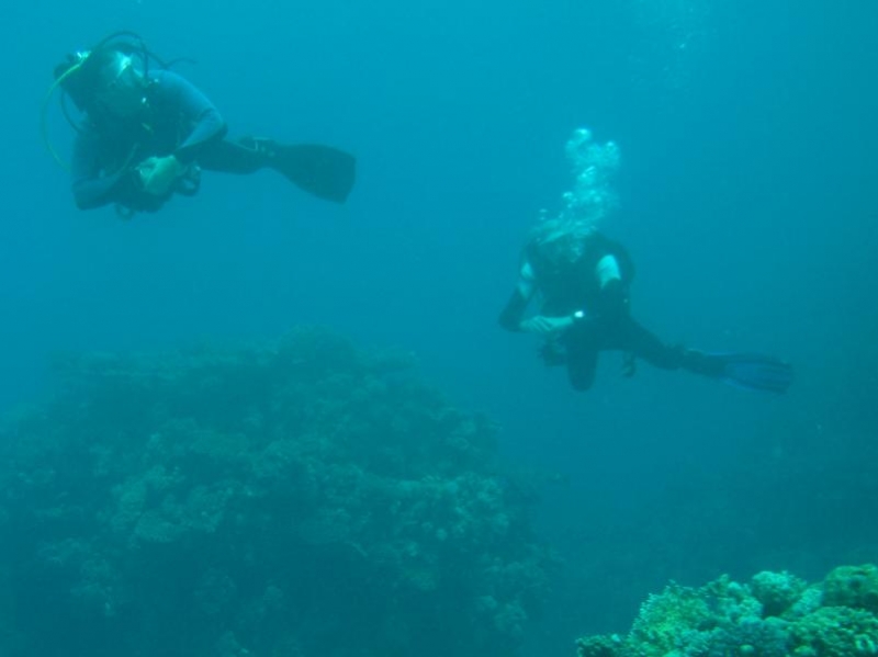 Moby Dick w Marsa Alam