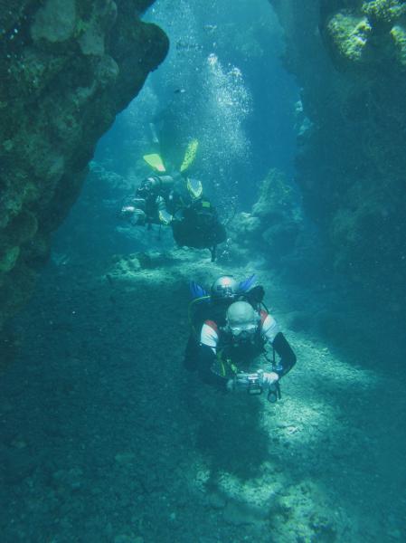 Moby Dick w Marsa Alam