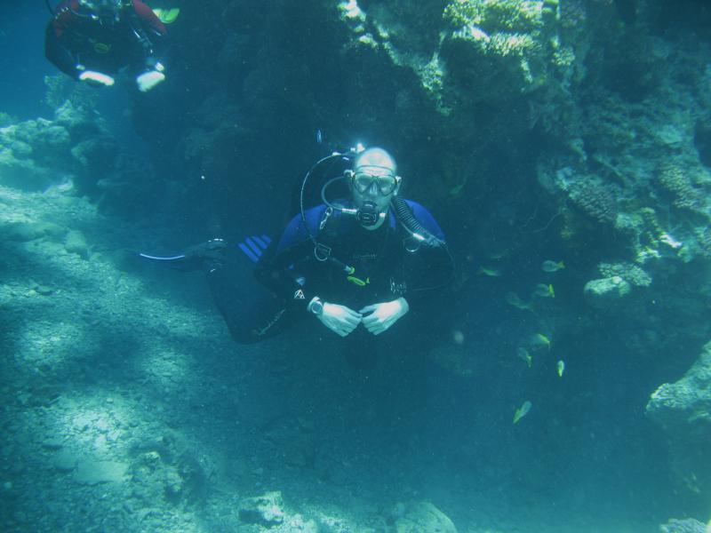 Moby Dick w Marsa Alam