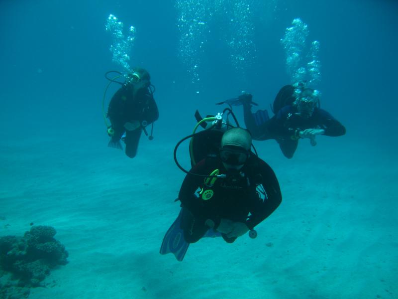 Moby Dick w Marsa Alam