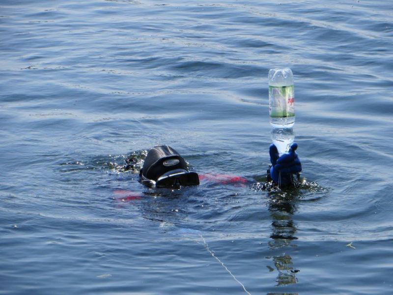 Niedzielne nureczki (09 czerwca)