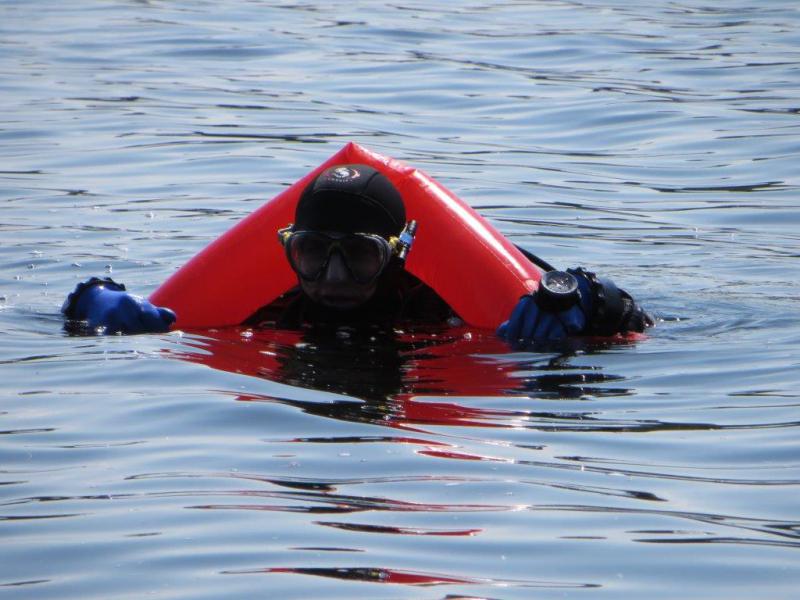 Niedzielne nureczki (09 czerwca)