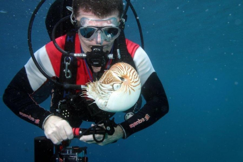 Palau w obiektywie Pawła