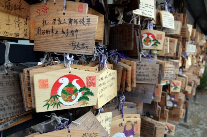 Palau w obiektywie Pawła