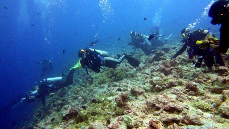 Palau w obiektywie Pawła