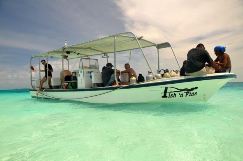 Palau w obiektywie Pawła