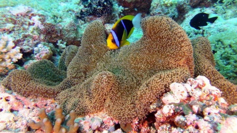 Palau w obiektywie Pawła