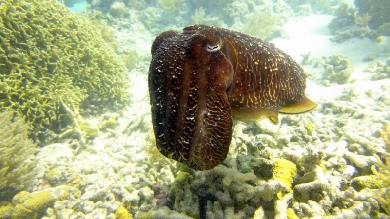 Palau w obiektywie Pawła