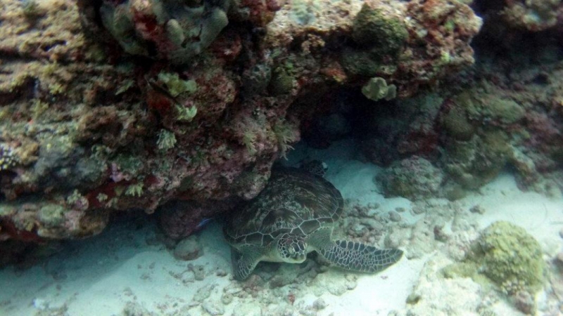 Palau w obiektywie Pawła