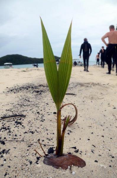 Palau w obiektywie Pawła