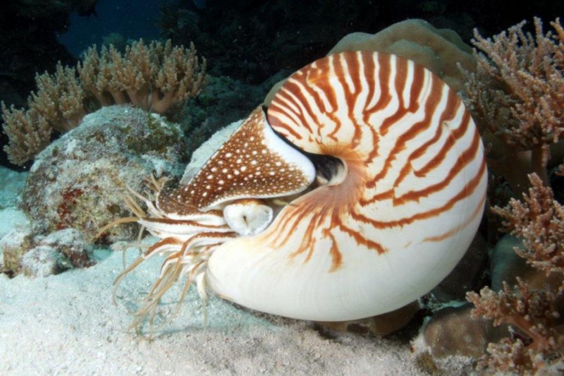 Palau w obiektywie Pawła