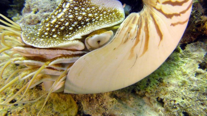 Palau w obiektywie Pawła