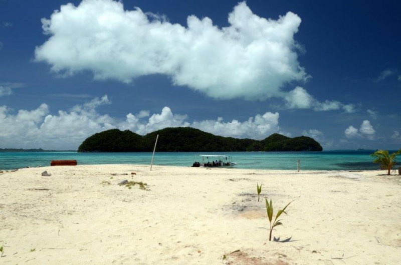 Palau w obiektywie Pawła