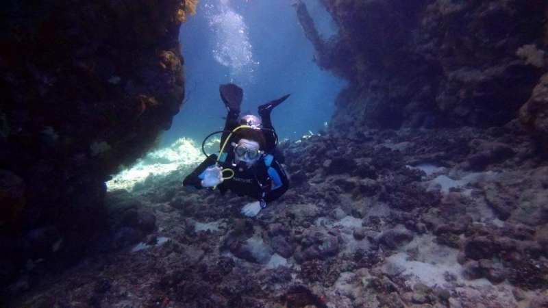 Safari Nurkowe M. Czerwone