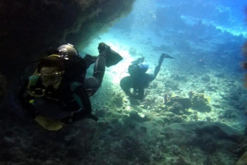 Safari Nurkowe M. Czerwone