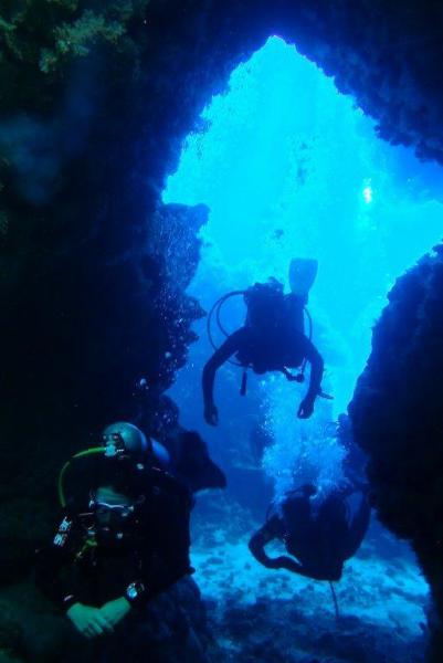 Safari Nurkowe M. Czerwone