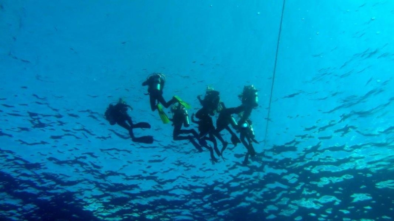 Safari Nurkowe M. Czerwone