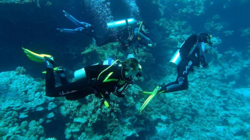 Safari Nurkowe M. Czerwone